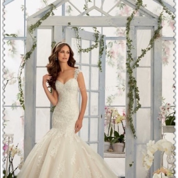 Mori Lee Dresses & Skirts - Mori Lee Bridal Gown